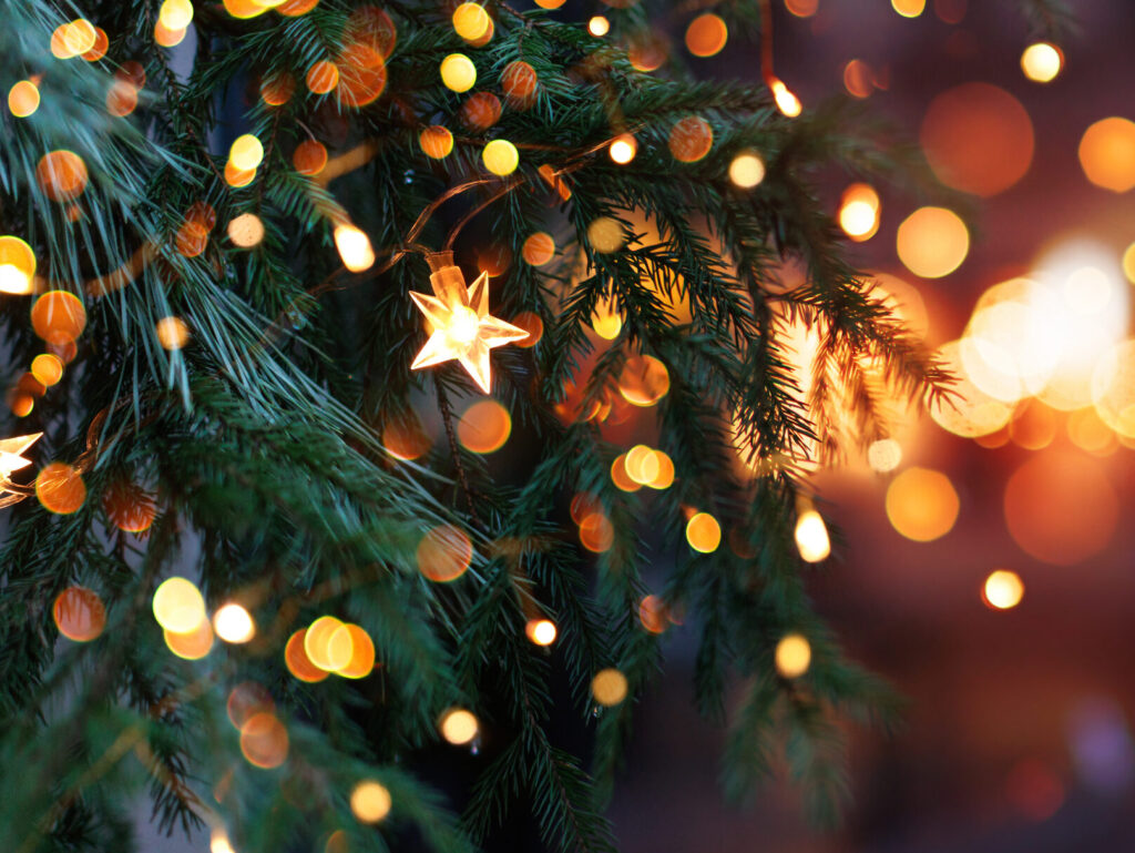 Fêtes de fin d'année - Agrandir l'image, fenêtre modale