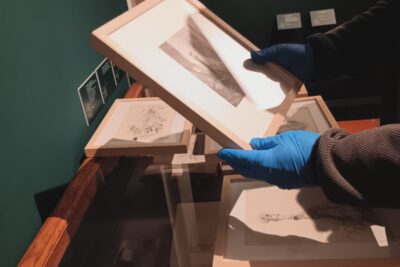 Agrandir l'image 1 sur 8, fenêtre modale