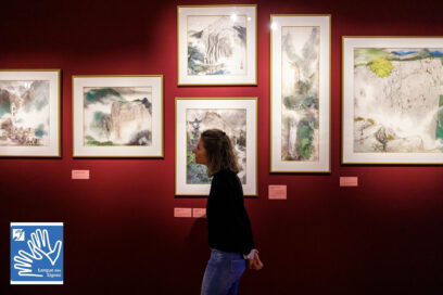 Agrandir l'image, fenêtre modale