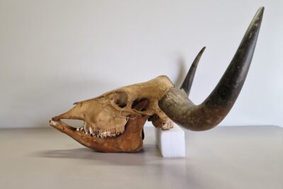 Agrandir l'image 1 sur 5, fenêtre modale