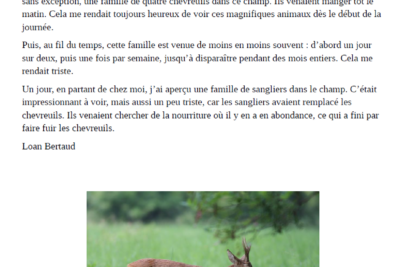 Agrandir l'image 3 sur 6, fenêtre modale