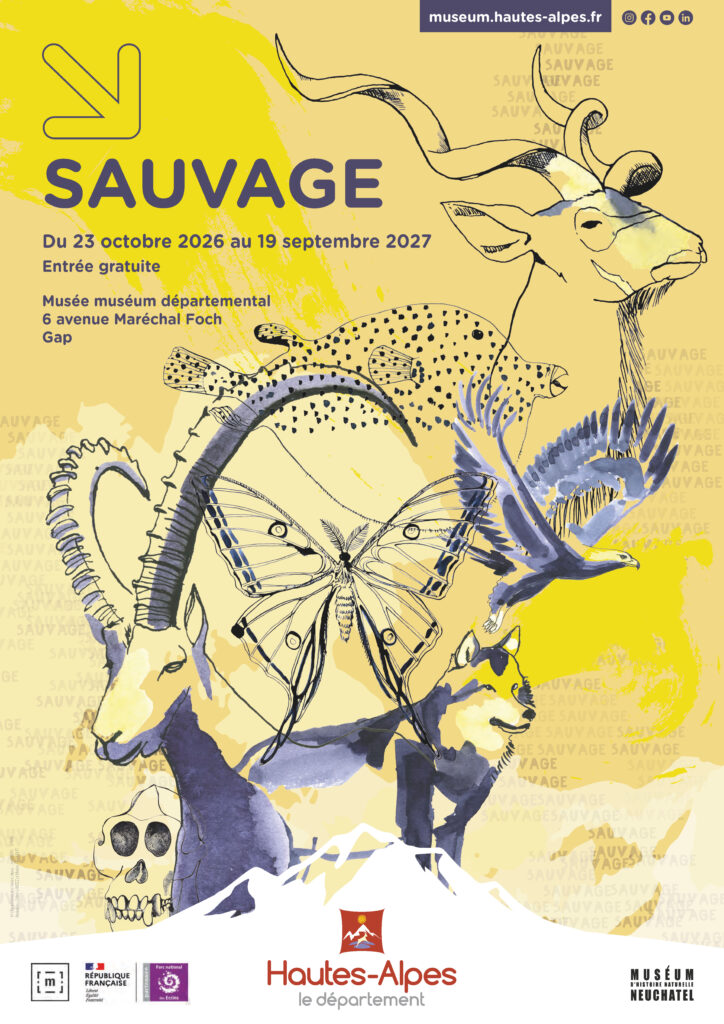 Affiche de l'exposition Sauvage.  - Agrandir l'image, fenêtre modale