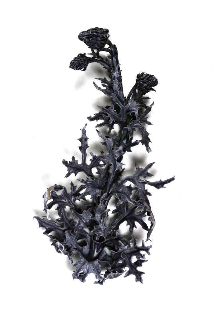 Un chardon en ferronnerie d'art réalisé par Ferdinand Marrou - Agrandir l'image, fenêtre modale