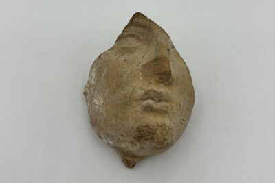 Agrandir l'image 4 sur 7, fenêtre modale